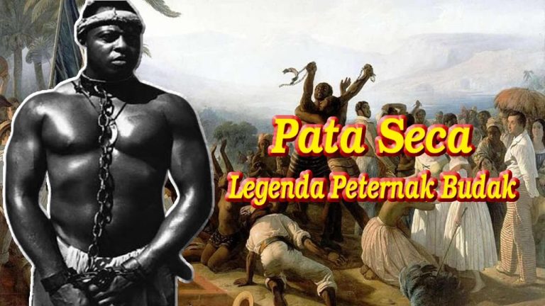 Pata Seka