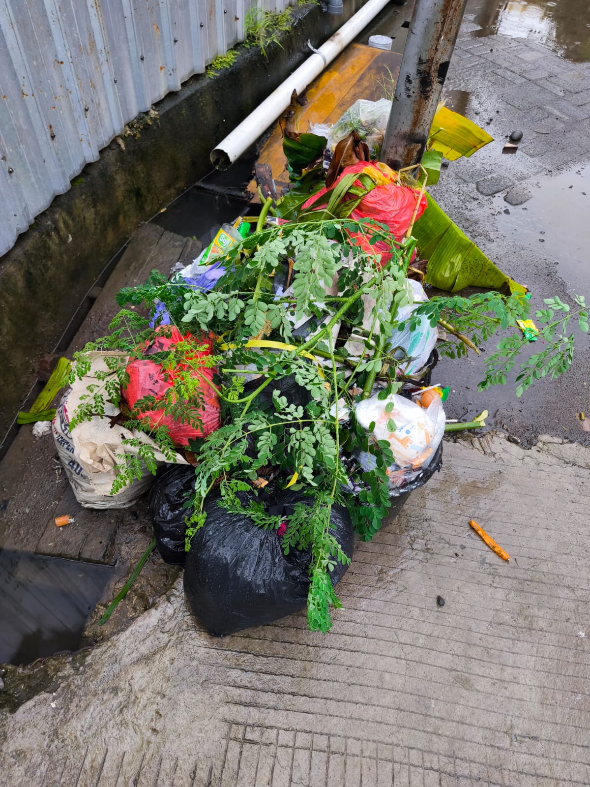 sampah 1